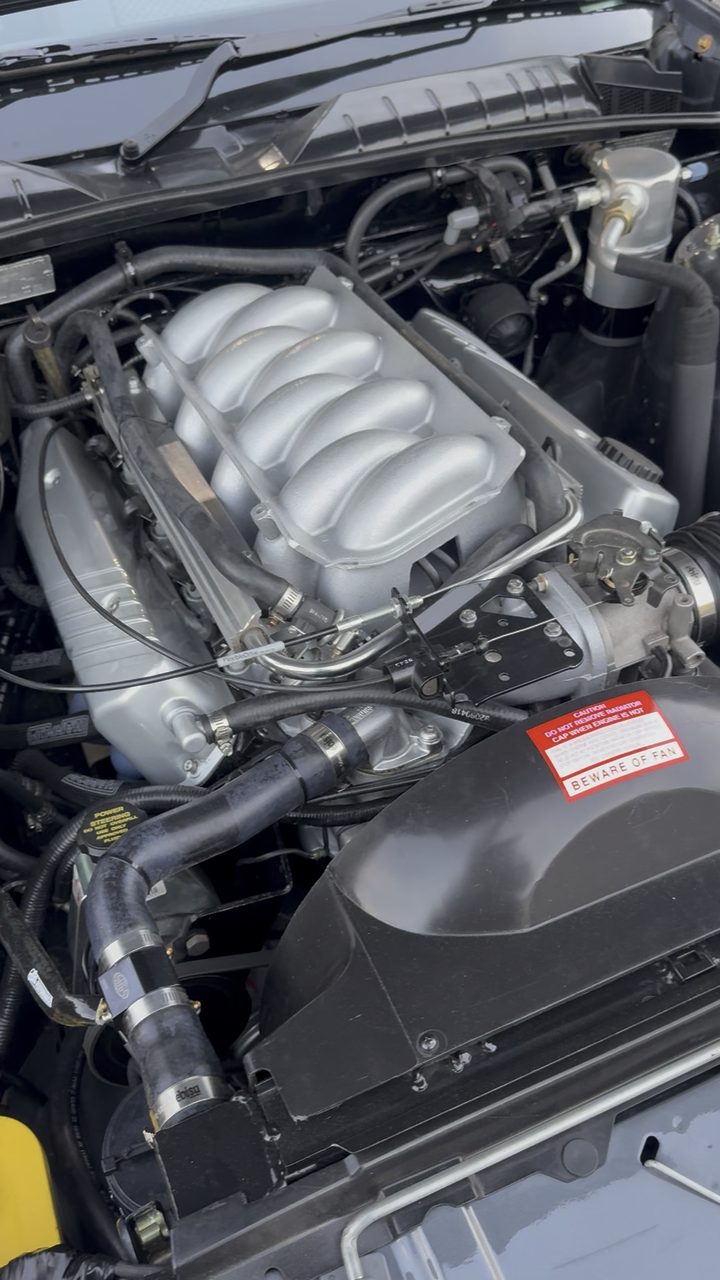 V8 engine bay