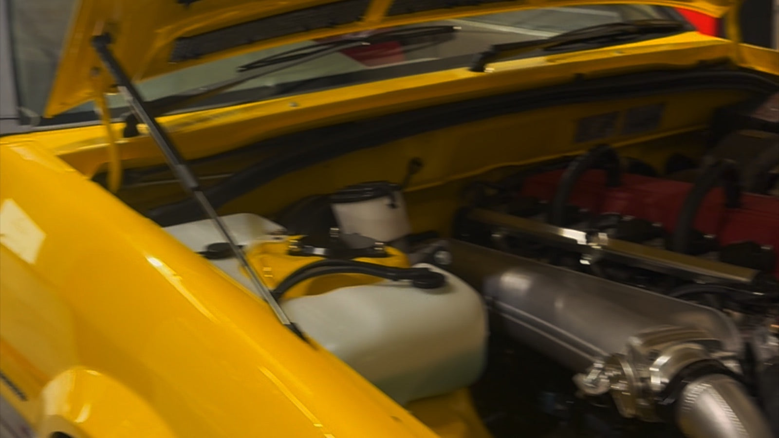 Niche Automotive workshop in Sunshine West