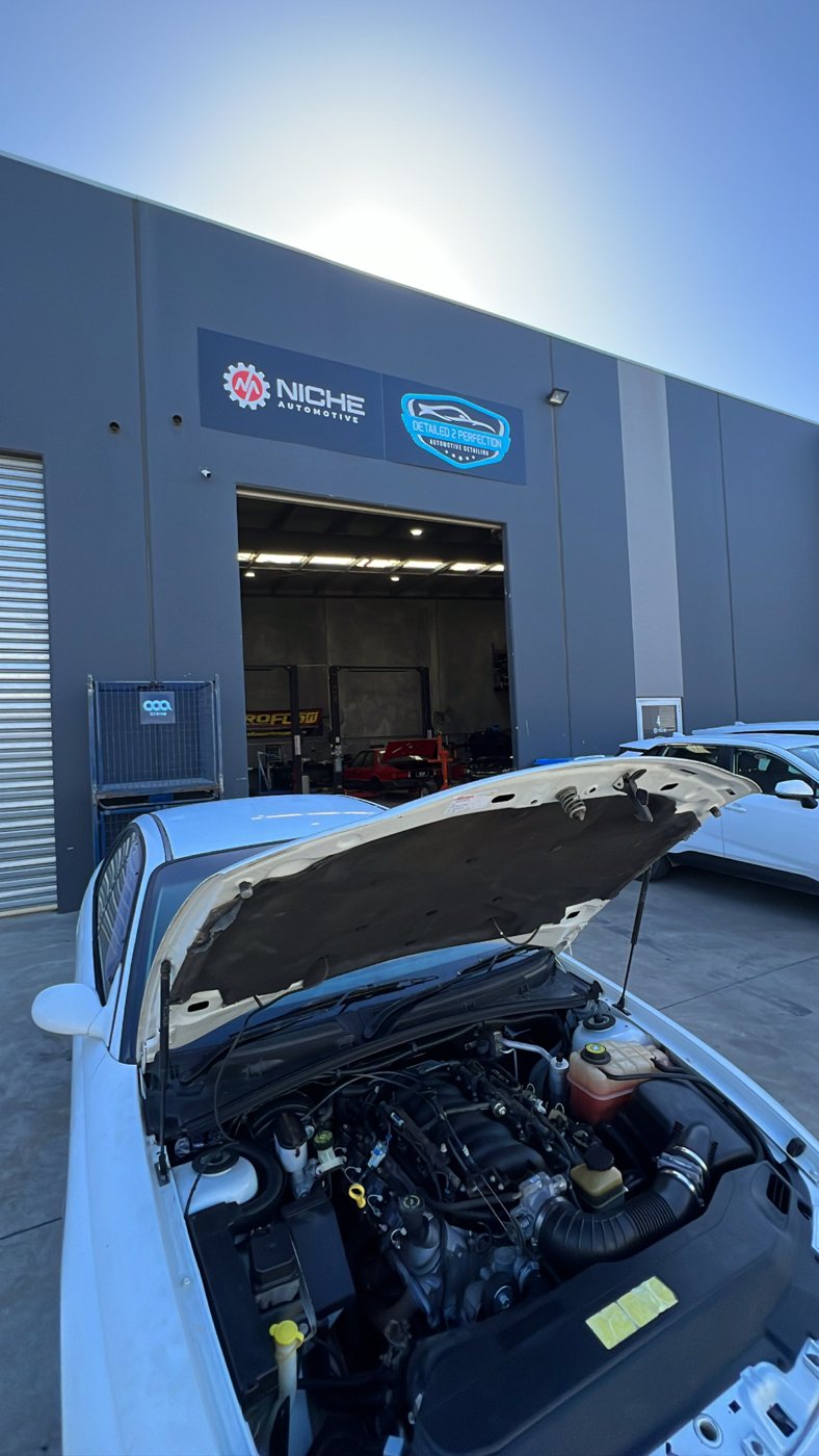 Niche Automotive workshop in Sunshine West
